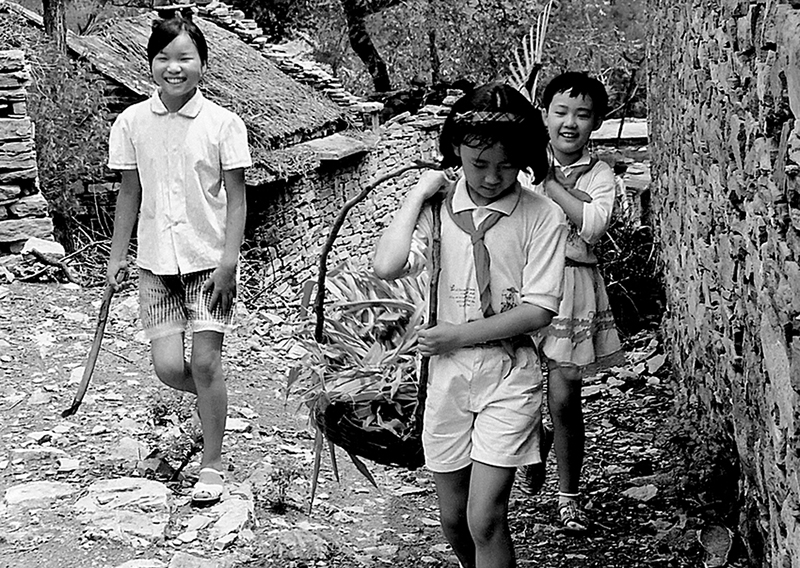 1997年，城里孩子到乡村体验生活。作者：李瑞勇