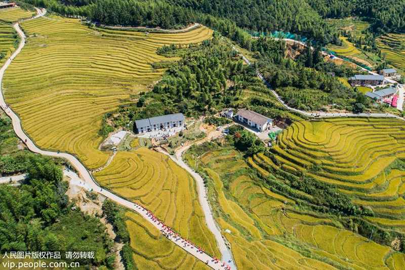 9月28日，旗袍爱好者行走在江西省崇义县上堡梯田景区内（无人机拍摄）。