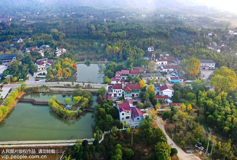 郁郁葱葱的全国首批乡村旅游重点村桃园村全景。
